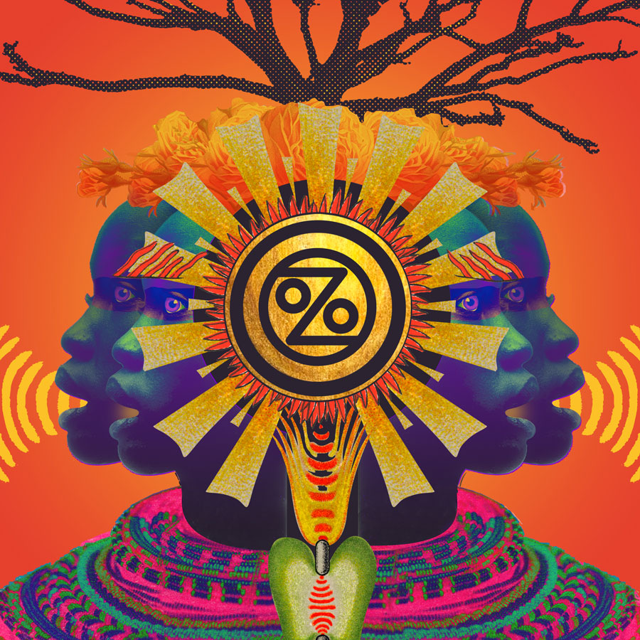 Marching On Vinyl – Ozomatli